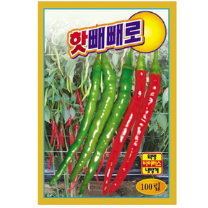 핫빼빼로 칠리 고추 씨앗 100립