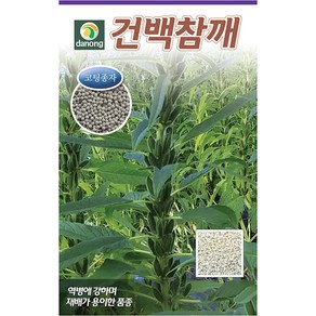 (DN)건백참깨 20g, 1개