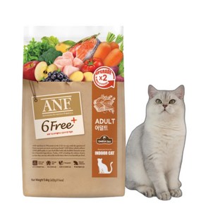 ANF 어덜트용 캣 식스프리플러스 건식사료, 인도어, 5.6kg, 1개