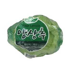 국내산 양상추 간편한 손질된양상추 개별포장 신선한양상추 약500g 1개, 500g