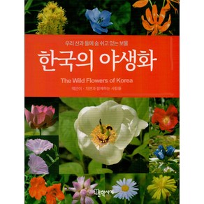 한국의 야생화 : 우리 산과 들에 숨 쉬고 있는 보물