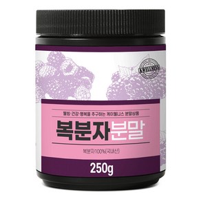 더참된 국내산 복분자가루, 1개, 250g