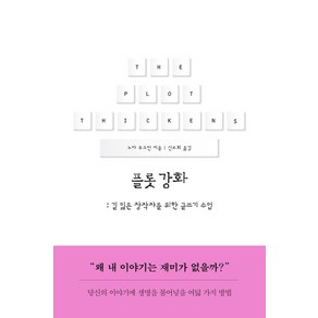 플롯 강화:길 잃은 창작자를 위한 글쓰기 수업, 복복서가, 노아 루크먼