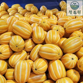 [청조원] 고당도 달달한 성주참외 산지직송 제철과일 꿀참외 대과 소과, 1박스, 대과 5kg (9~15개입)