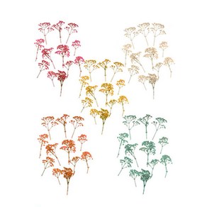마타바 압화-안개꽃 5컬러 중 택 1 (압축진공팩포장), 민트, 1개