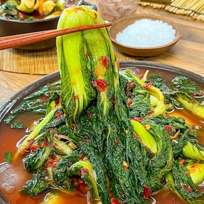 농가살리기 주미겸 얼갈이자박이김치, 1개, 2kg