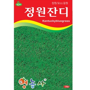 정원잔디 씨앗 30g 양잔디 산소/정원/공원/ 용, 1개