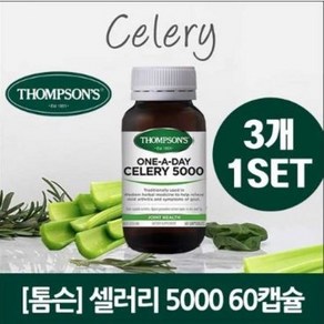 [톰슨] 셀러리 5000 (60캡슐) 3개, 60정