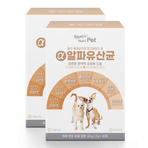 바른뉴트리펫 알파유산균 강아지 고양이 애견 반려동물 개 유산균 영양제, 30회분, 장건강/유산균, 2개