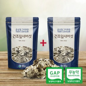 윤상철그리포란 윤상철 건조잎새버섯 100g+100g 무농약 GAP 국내산, 100g, 2개