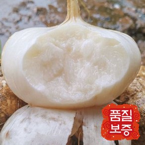 [10대 슈퍼푸드] 히카마 혈당관리 다이어트 멕시코감자 얌빈, 1박스, 5kg