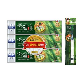 죽염 잇몸고 치약 120gX3+죽염칫솔1입, 120g, 1세트