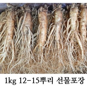 햇 수삼 인삼 1kg 대사이즈 5년근 12-15뿌리 뿌리 (믹서용 홍삼용 실속인삼), 3개