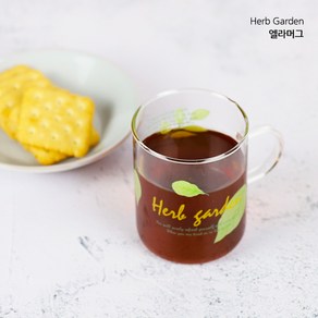 허브가든 투명 캡슐 커피머신 전용 내열유리 머그컵 300ml 2P 세트, 2개