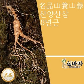 장뇌삼 8년근 3뿌리 피로회복에 도움되는 최상급 설 추석 명절 선물세트 산양산삼, 1개