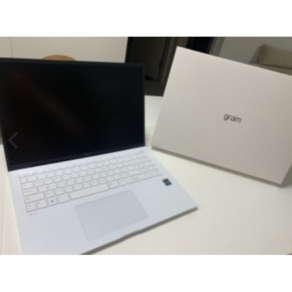 LG전자 2023 그램 16 코어i7 인텔 13세대, 스노우 화이트, 256GB, 16GB, Fee DOS, 16ZD90R-GX76K