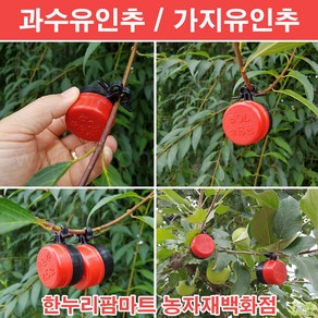 한누리팜마트/과수유인추 45g/사과나무유인추/가지유인추, 10개