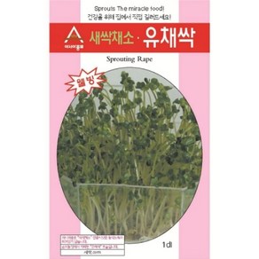 아시아종묘 씨앗 새싹 유채싹 30g