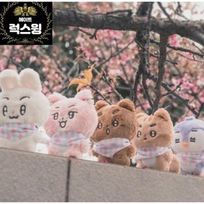 [국내배송] 뽀바투 인형 10cm 5종 세트 전체 구매 왕바투(사은품 포카), 1개