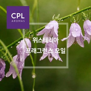 위스테리아 프래그런스오일 20ml 500ml 영국 CPL 아로마 캔들 디퓨져 재료, 1개