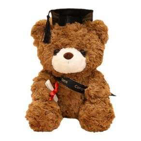 사랑스러운 너희의 졸업 입학을 축하해 Graduation Teddy Bear Gift Plush Bear Stuffed Animal Doll Gradu