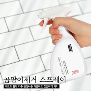 청소신 곰팡이제거 스프레이, 1개, 300ml