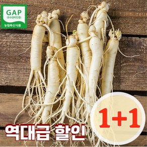 [1+1] 1키로 금산 인삼 5~6년근 가정용 못난이 난발삼 원수삼 파삼 막삼