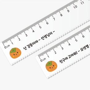 감사 투명자 15Cm자 네임 자 문구 인쇄 애플데이 감사데이 감 학교 교육주간 위클래스 행사 선물 주문제작, 1개