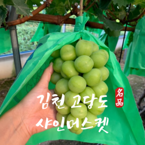 당도선별 김천 고당도 샤인머스켓, 1박스, 1kg(2송이)