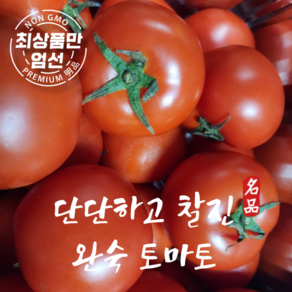 국내산 단단한 완숙토마토 쥬스용 토마토, 1박스, 3kg(쥬스용못난이)