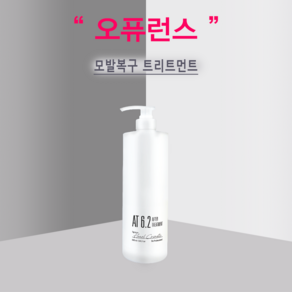 [원올]복구크리닉 트리트먼트 AT6.2(500ml) 모발윤기부여 모발영양, 오퓨런스 AT6.2(500ml), 500ml, 1개