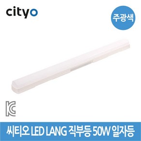 씨티오 LED LANG 직부등 50W 일자등 주광색