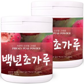 국내산 제주산 백년초 가루 300g 백년초열매차 백년초분말, 2개