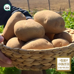 쫀득쫀득 수미 감자 국내산 산지직송 국물요리 찌개용, 1박스, 중 1kg