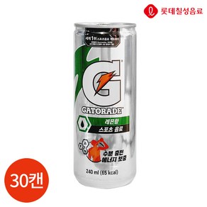 롯데 게토레이 240ml x 30캔, 240g, 30개