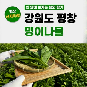 [최상품] 무농약 평창 유기농 명이나물 줄기포함 산지직송 산마늘, 1kg, 1개