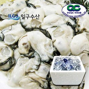 [일구수산]싱싱한 통영 생굴 1kg 2kg /산지/ 당일작업/굴수하식수협38번중도매인, 생굴(중) 2kg, 1개