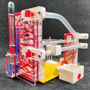 아크릴반구 무테 반레트로 아크릴 곤충 케이지 개미 둥지 먹이 주는 곳 3D-B1개미 빌라 농장 반려동물 집