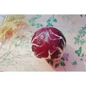 라디치오 (Radicchio) 1알, 1개