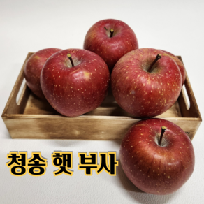 청송 고산지 고당도 햇 부사 [당도선별] 가정용 선물용 2kg 3kg 5kg 10kg 산지직송, 1박스, 혼합과 2kg (5~9과)