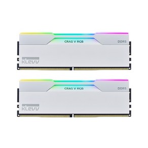 ESSENCORE DDR5-6400 CL32 CRAS V RGB W서린 64GB, 1개