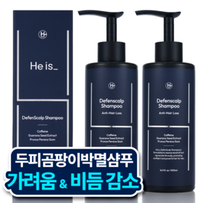 히이즈 디펜스칼프 비듬&두피 가려움 박멸 쿨링 샴푸, 2개, 500ml