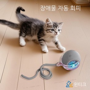 윈티크 고양이 꼬리잡기 스마트볼 공놀이 장난감, 1개, 그레이