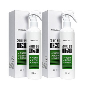 과일나라 굿 바디 필링 때로마, 2개, 300ml