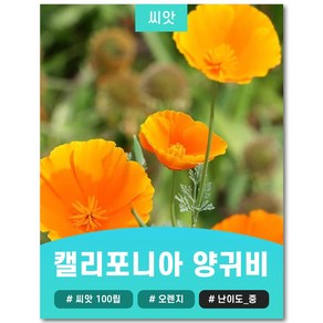 캘리포니아 양귀비 씨앗 오렌지색 100립, 1개