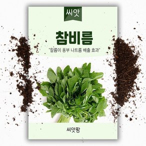 참비름나물 씨앗 (500립), 1개