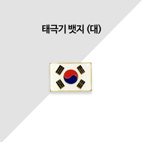 땡큐솔져 태극기 뱃지 (대) 군인 군용 전역모