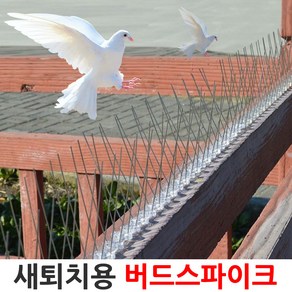 버드 스파이크 조류 비둘기 퇴치 베란다 실외기 차단, 버드스파이크-50cm