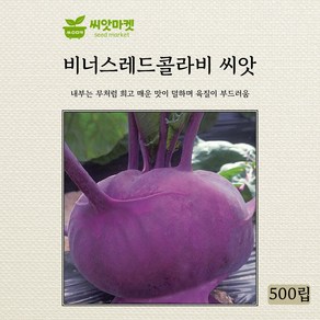 다농 비너스레드콜라비 씨앗 500립, 1개