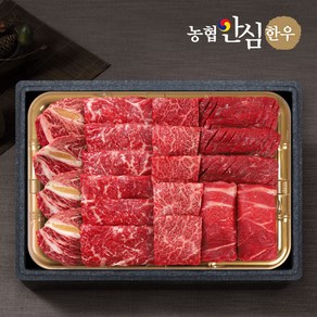 기타 [농협안심한우] 1등급 한우 모듬채반 1kg(등심+채끝+특수부위+불고기+국거리)